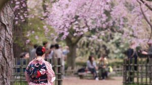 Fakta Kehidupan Di Jepang Yang Mungkin Membingungkan Orang Asing