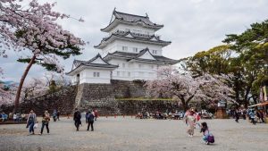 Tempat Wisata di Sekitar Tokyo yang Wajib Dikunjungi